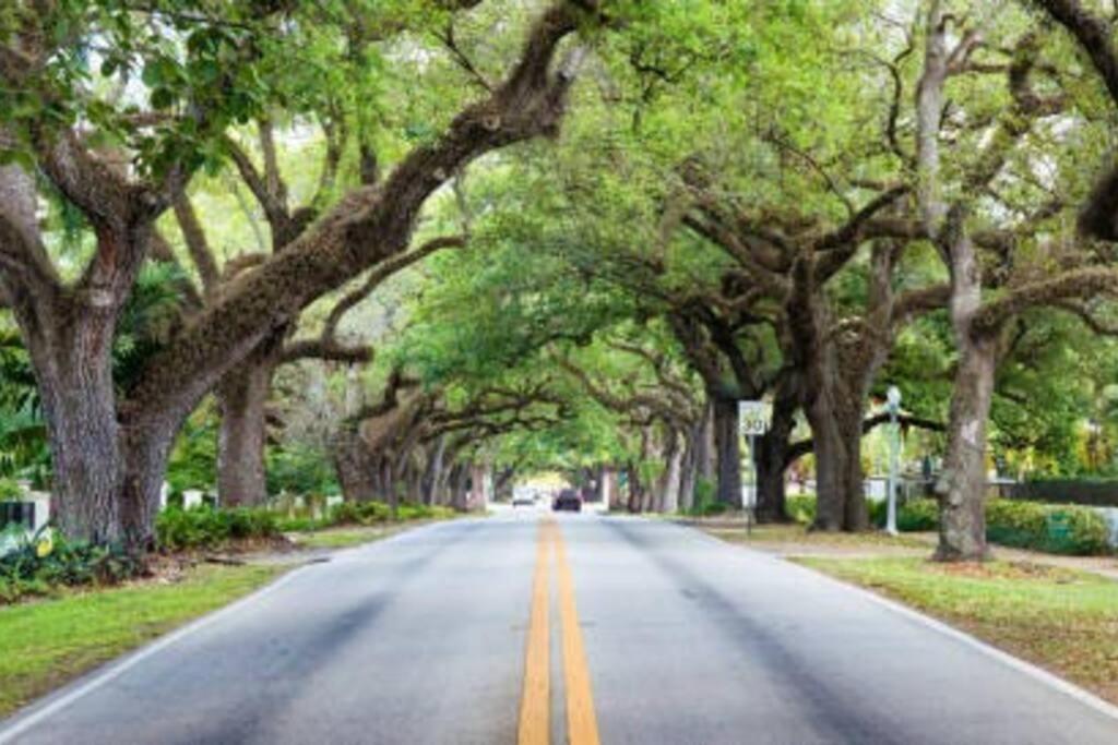 My Lovely Home In Miami 15 Minutes From The Beach Bagian luar foto
